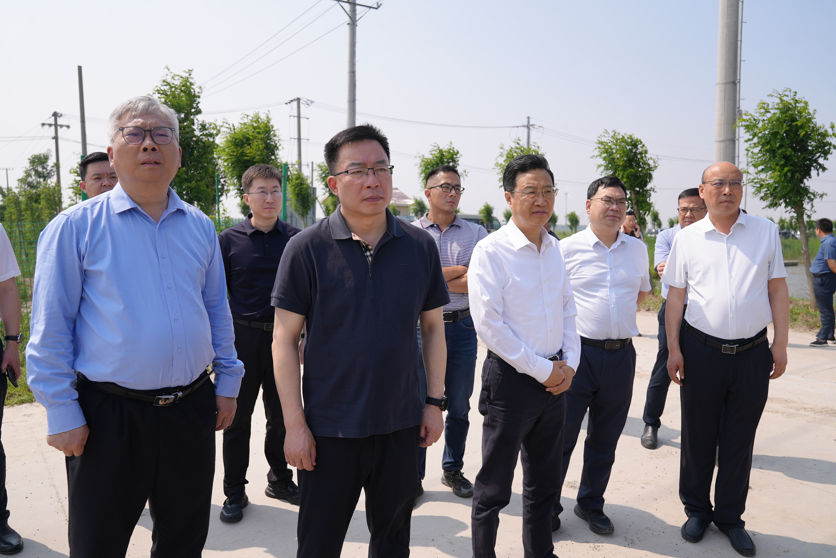 省农业农村厅副厅长何益军一行调研我局盐碱地改良项目1.jpeg